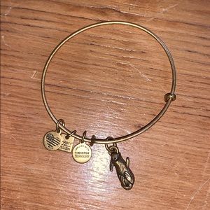 Alex and Ani Friendship Bracelet